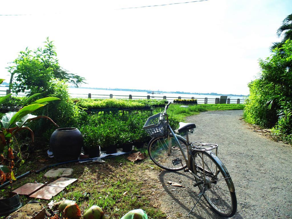 Flower & Frog Homestay Sa Dec Exterior foto